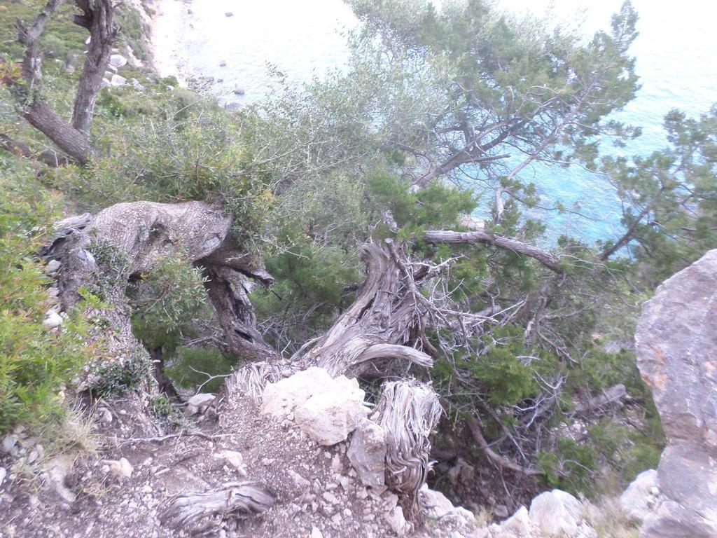 B&B Sa Funtana Cardedu Buitenkant foto