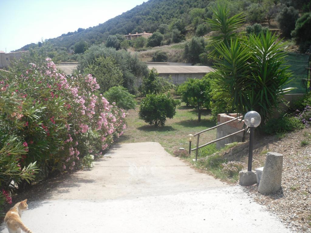 B&B Sa Funtana Cardedu Buitenkant foto