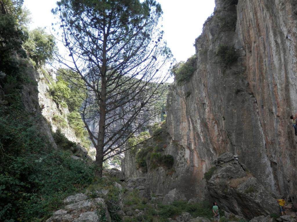 B&B Sa Funtana Cardedu Buitenkant foto