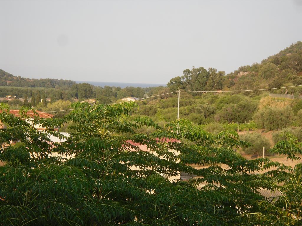 B&B Sa Funtana Cardedu Buitenkant foto