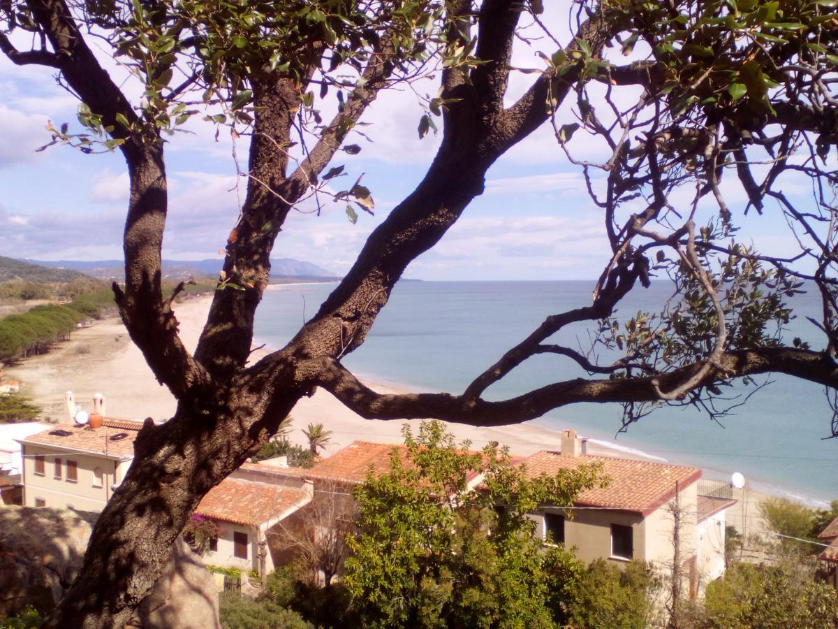 B&B Sa Funtana Cardedu Buitenkant foto